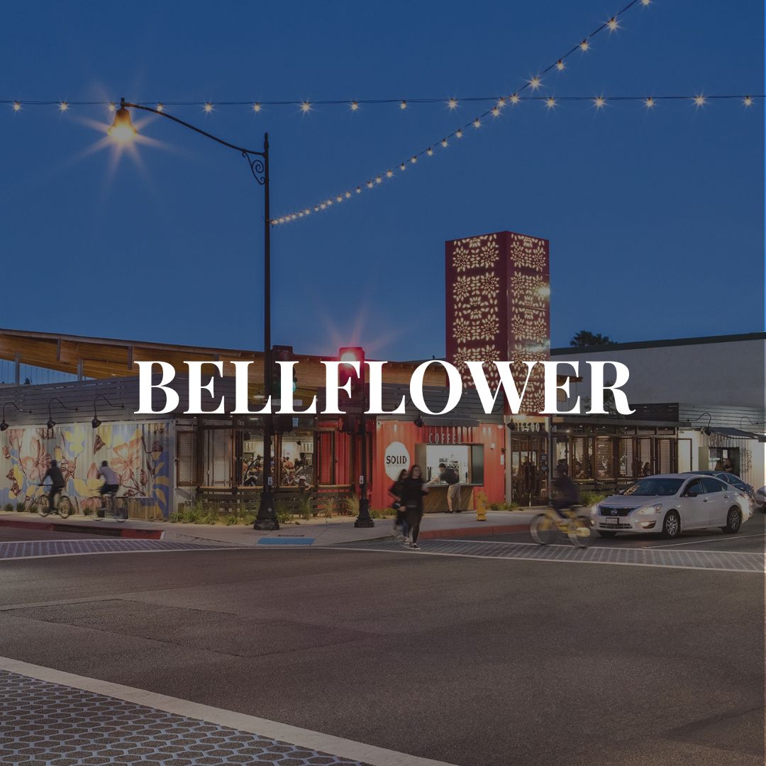 Copy bellflower